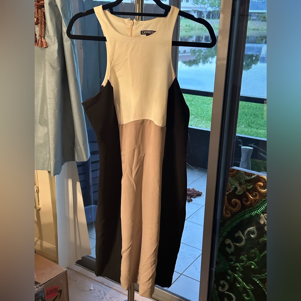 Express Knee Length color block dress